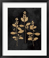 Framed Botanical Sutdy IV GB