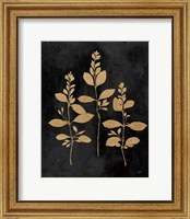 Framed Botanical Sutdy IV GB