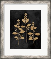 Framed Botanical Sutdy IV GB