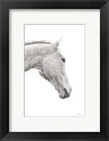 Framed Horse Named Lady I BW