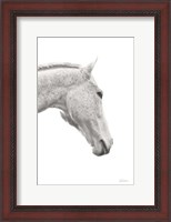 Framed Horse Named Lady I BW