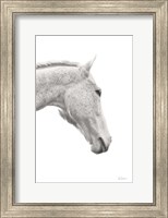 Framed Horse Named Lady I BW