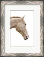Framed Horse Named Lady I