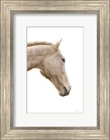 Framed Horse Named Lady I