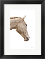 Framed Horse Named Lady I