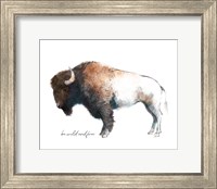 Framed Wild Colorful Bison Dark Brown