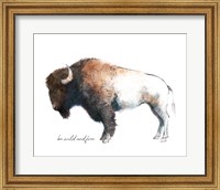 Framed Wild Colorful Bison Dark Brown