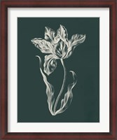 Framed Eden Tulips II