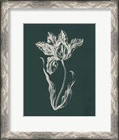 Framed Eden Tulips II