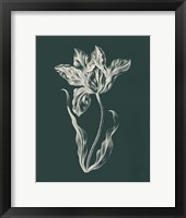 Eden Tulips II Framed Print