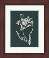 Framed Eden Tulips I