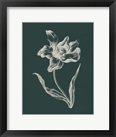 Eden Tulips I Framed Print