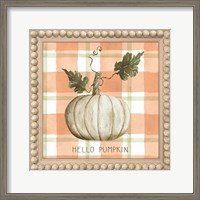 Framed Hello Pumpkin