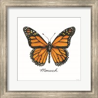 Framed Monarch
