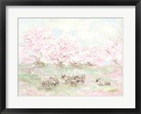 Framed Sheep in Spring