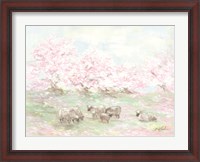 Framed Sheep in Spring