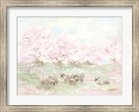 Framed Sheep in Spring