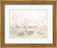 Framed Sheep in Spring