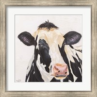 Framed Holstein Cow