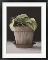 Framed Farmhouse Philodendron