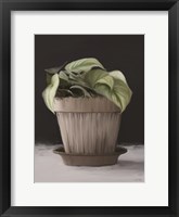 Farmhouse Philodendron Framed Print