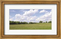 Framed Summer Fields