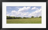 Framed Summer Fields