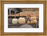 Framed Autumn Pumpkin Harvest