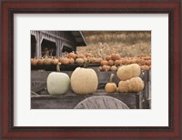 Framed Autumn Pumpkin Harvest