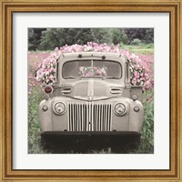 Framed Flowers for Everyone