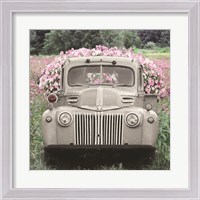 Framed Flowers for Everyone