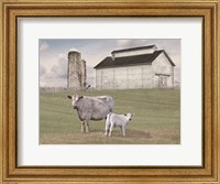 Framed Momma and Baby Cow