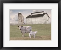 Framed Momma and Baby Cow