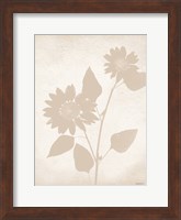 Framed Floral Silhouette III