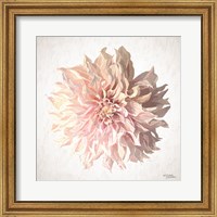 Framed Sweet Dahlia