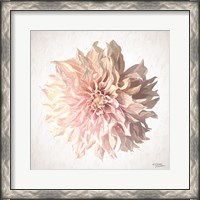 Framed Sweet Dahlia