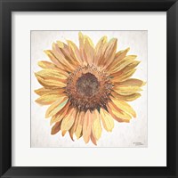 Framed Sunny Sunflower