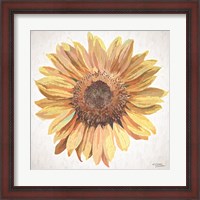 Framed Sunny Sunflower