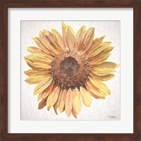 Framed Sunny Sunflower