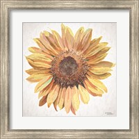 Framed Sunny Sunflower