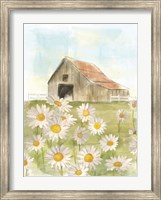 Framed Field of Daisies