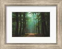 Framed Road of Mysteries