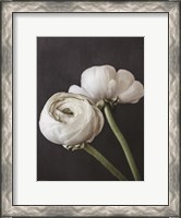 Framed Refined Beauty I