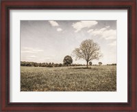 Framed Together in the Fields I