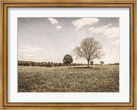 Framed Together in the Fields I