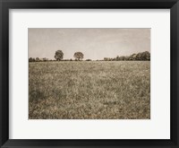 Framed Together in the Fields II