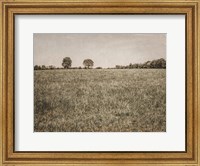 Framed Together in the Fields II