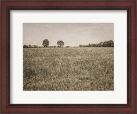 Framed Together in the Fields II