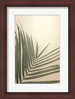 Framed Golden Hour Palm