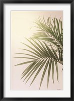 Framed Sunkissed Palm